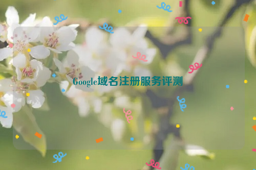 Google域名注册服务评测