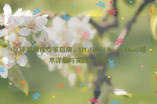 VPC评测编程专家指南，VPC(Virtual Private Cloud)技术详解与实践vpc网络