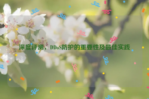 深度评测，DDoS防护的重要性及最佳实践