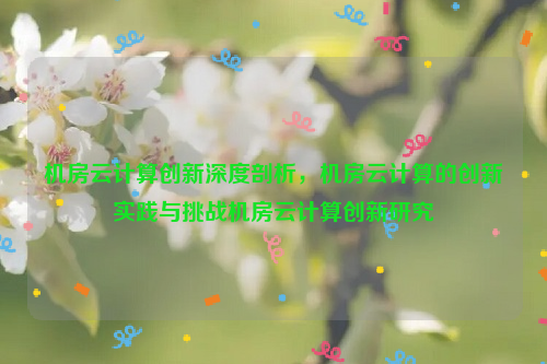 机房云计算创新深度剖析，机房云计算的创新实践与挑战机房云计算创新研究