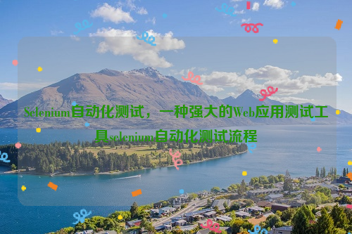 Selenium自动化测试，一种强大的Web应用测试工具selenium自动化测试流程