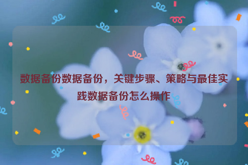 数据备份数据备份，关键步骤、策略与最佳实践数据备份怎么操作