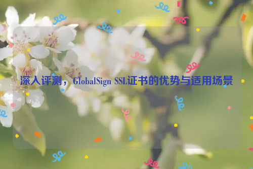 深入评测，GlobalSign SSL证书的优势与适用场景