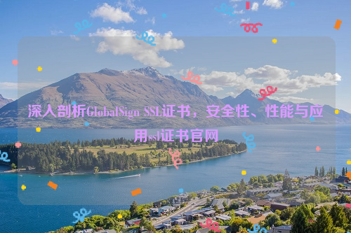 深入剖析GlobalSign SSL证书，安全性、性能与应用ssl证书官网