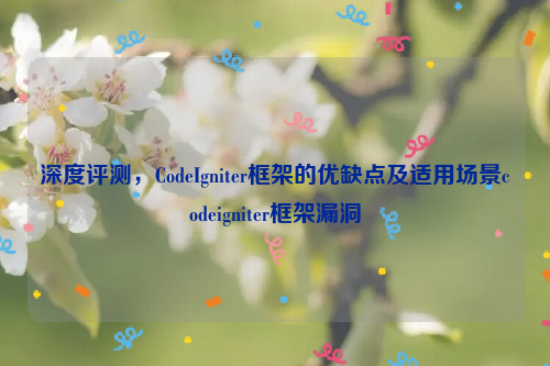 深度评测，CodeIgniter框架的优缺点及适用场景codeigniter框架漏洞