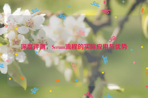 深度评测，Scrum流程的实际应用与优势