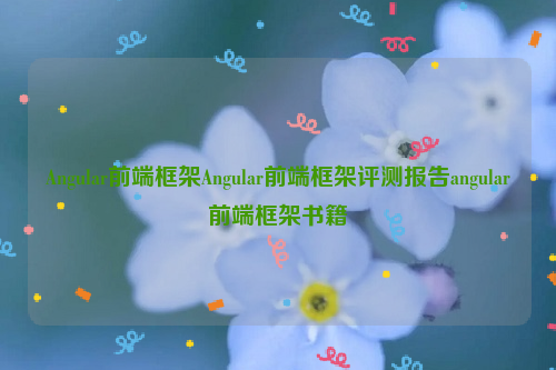 Angular前端框架Angular前端框架评测报告angular前端框架书籍