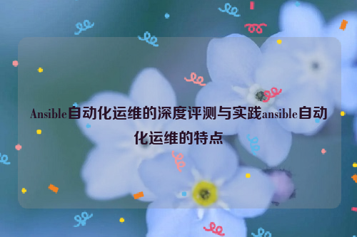 Ansible自动化运维的深度评测与实践ansible自动化运维的特点