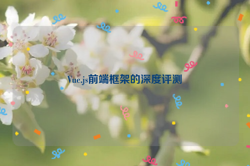 Vue.js前端框架的深度评测