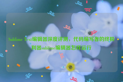 Sublime Text编辑器深度评测，代码编写者的终极利器sublime编辑器怎样运行