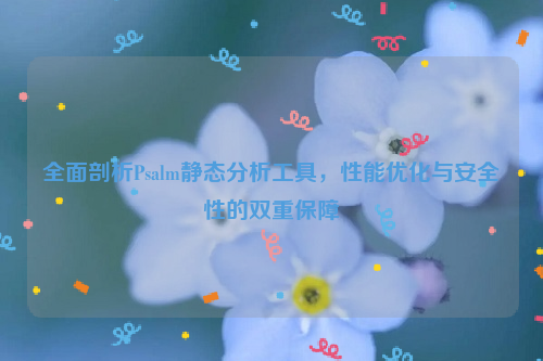 全面剖析Psalm静态分析工具，性能优化与安全性的双重保障