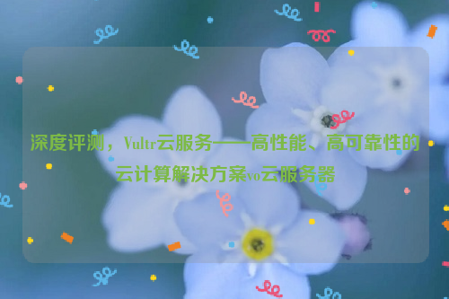 深度评测，Vultr云服务——高性能、高可靠性的云计算解决方案vo云服务器