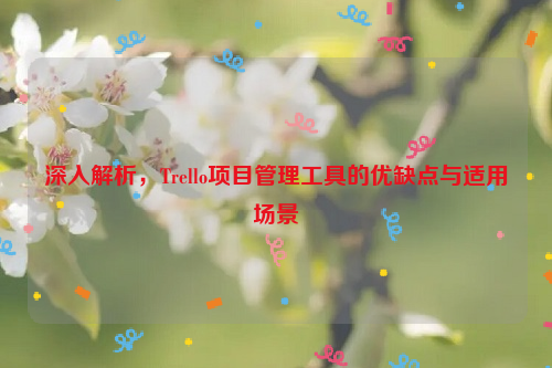 深入解析，Trello项目管理工具的优缺点与适用场景