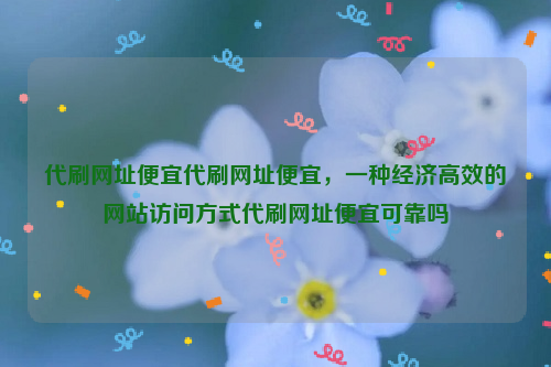 代刷网址便宜代刷网址便宜，一种经济高效的网站访问方式代刷网址便宜可靠吗