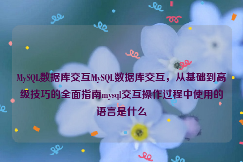 MySQL数据库交互MySQL数据库交互，从基础到高级技巧的全面指南mysql交互操作过程中使用的语言是什么