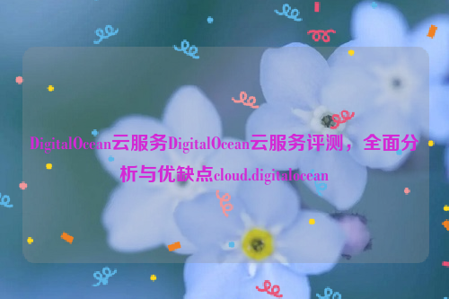 DigitalOcean云服务DigitalOcean云服务评测，全面分析与优缺点cloud.digitalocean