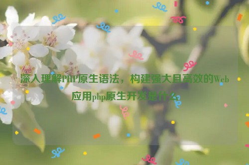 深入理解PHP原生语法，构建强大且高效的Web应用php原生开发是什么