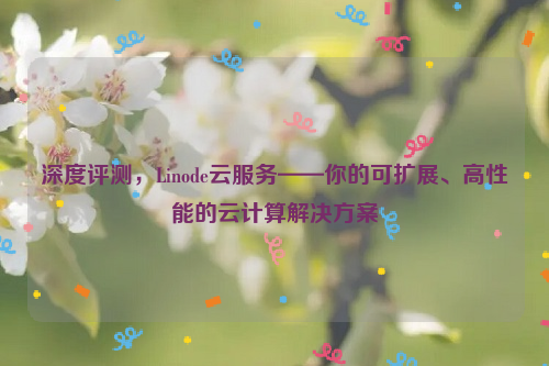 深度评测，Linode云服务——你的可扩展、高性能的云计算解决方案