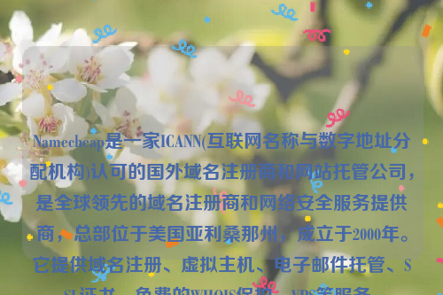 Namecheap是一家ICANN(互联网名称与数字地址分配机构)认可的国外域名注册商和网站托管公司，是全球领先的域名注册商和网络安全服务提供商，总部位于美国亚利桑那州，成立于2000年。它提供域名注册、虚拟主机、电子邮件托管、SSL证书、免费的WHOIS保护、VPS等服务。