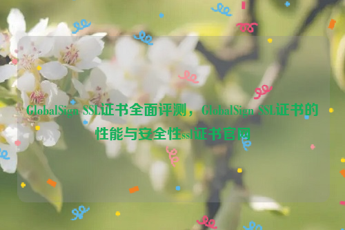 GlobalSign SSL证书全面评测，GlobalSign SSL证书的性能与安全性ssl证书官网