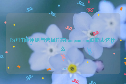 RAM性能评测与选择指南rampampam歌曲表达什么