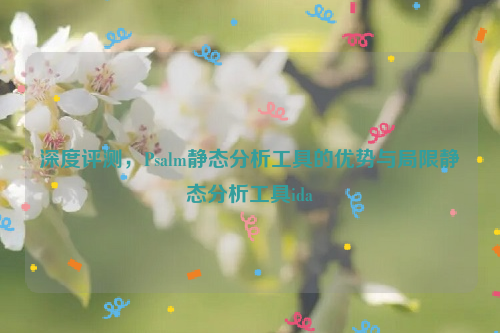 深度评测，Psalm静态分析工具的优势与局限静态分析工具ida