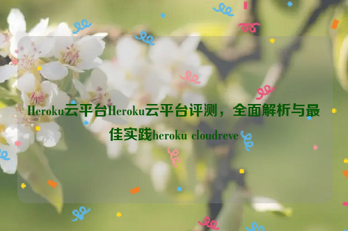 Heroku云平台Heroku云平台评测，全面解析与最佳实践heroku cloudreve