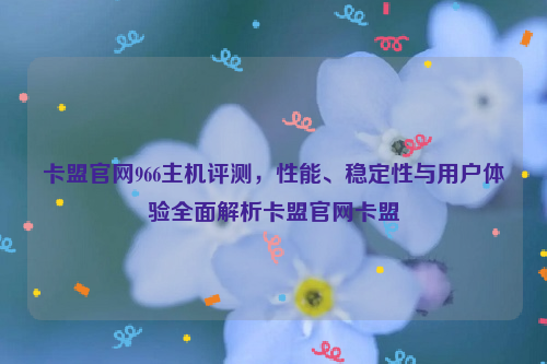 卡盟官网966主机评测，性能、稳定性与用户体验全面解析卡盟官网卡盟