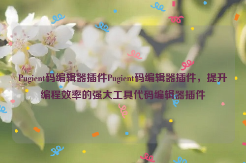 Pugient码编辑器插件Pugient码编辑器插件，提升编程效率的强大工具代码编辑器插件