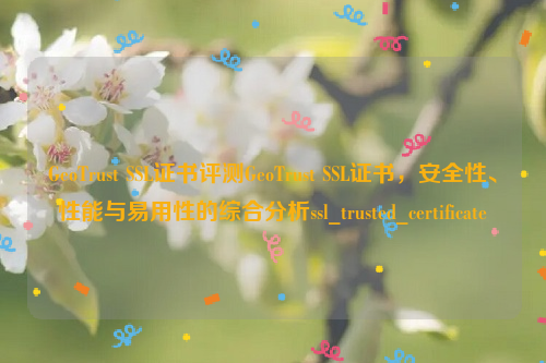 GeoTrust SSL证书评测GeoTrust SSL证书，安全性、性能与易用性的综合分析ssl_trusted_certificate