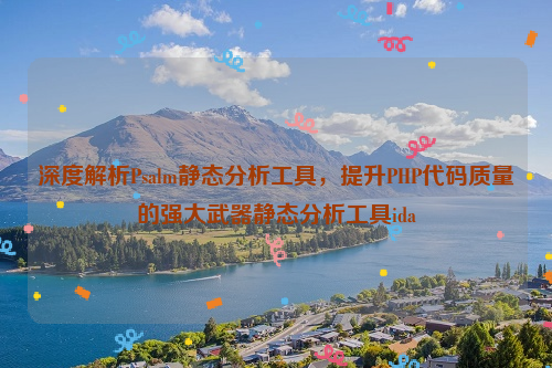 深度解析Psalm静态分析工具，提升PHP代码质量的强大武器静态分析工具ida