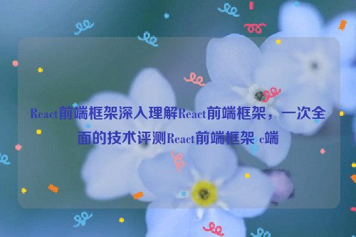 React前端框架深入理解React前端框架，一次全面的技术评测React前端框架 c端