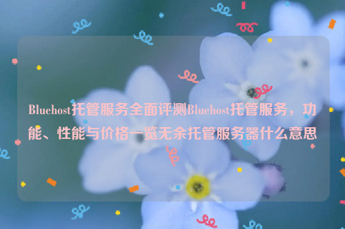 Bluehost托管服务全面评测Bluehost托管服务，功能、性能与价格一览无余托管服务器什么意思