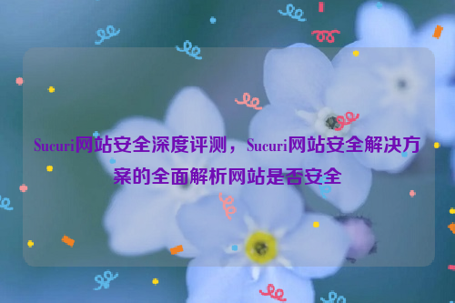 Sucuri网站安全深度评测，Sucuri网站安全解决方案的全面解析网站是否安全