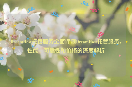 DreamHost托管服务全面评测DreamHost托管服务，性能、可靠性和价格的深度解析