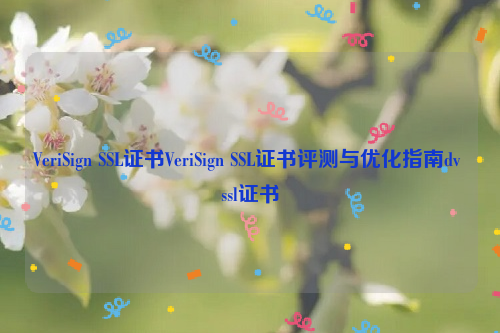 VeriSign SSL证书VeriSign SSL证书评测与优化指南dv ssl证书