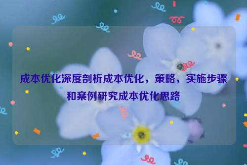 成本优化深度剖析成本优化，策略，实施步骤和案例研究成本优化思路