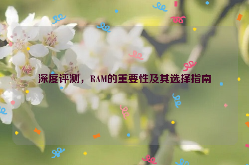 深度评测，RAM的重要性及其选择指南