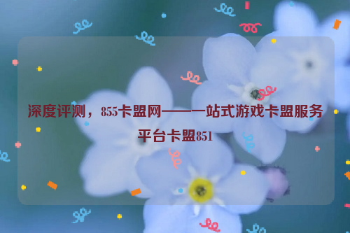 深度评测，855卡盟网——一站式游戏卡盟服务平台卡盟851