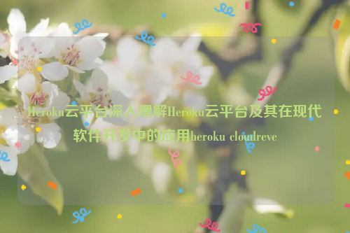 Heroku云平台深入理解Heroku云平台及其在现代软件开发中的应用heroku cloudreve