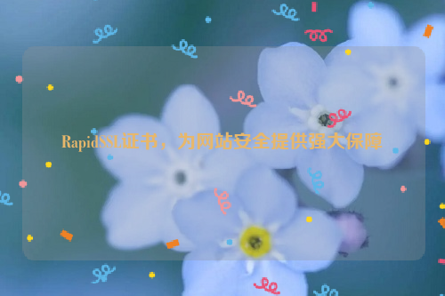 RapidSSL证书，为网站安全提供强大保障