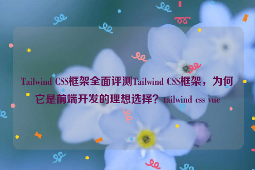 Tailwind CSS框架全面评测Tailwind CSS框架，为何它是前端开发的理想选择？tailwind css vue