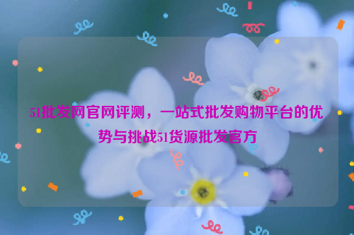 51批发网官网评测，一站式批发购物平台的优势与挑战51货源批发官方