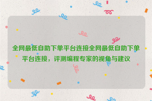 全网最低自助下单平台连接全网最低自助下单平台连接，评测编程专家的视角与建议