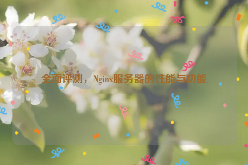 全面评测，Nginx服务器的性能与功能