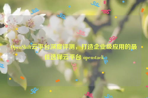 OpenShift云平台深度评测，打造企业级应用的最佳选择云平台 openstack