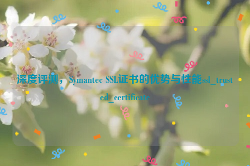 深度评测，Symantec SSL证书的优势与性能ssl_trusted_certificate