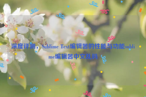 深度评测，Sublime Text编辑器的性能与功能sublime编辑器中文乱码