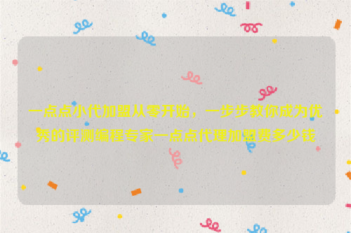 一点点小代加盟从零开始，一步步教你成为优秀的评测编程专家一点点代理加盟费多少钱