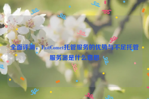 全面评测，FastComet托管服务的优势与不足托管服务器是什么意思